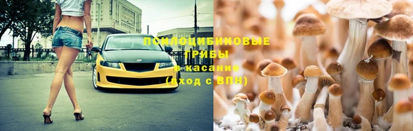 spice Алексеевка