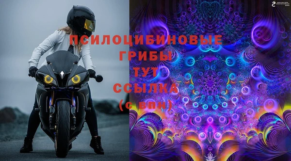 spice Алексеевка