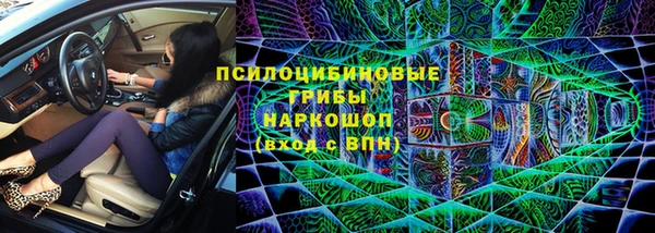 крисы Алексин
